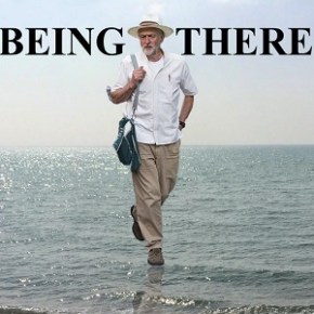 We must cultivate our&nbsp;garden