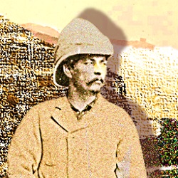 artwork-imperial-halfhearted