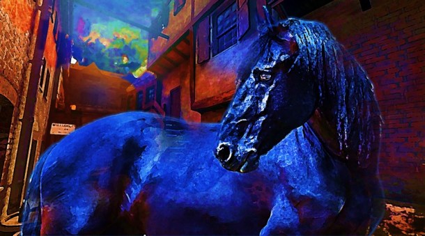 artwork-black-beauty