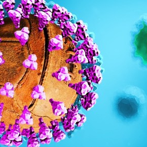 ‘This is no time for&nbsp;football’