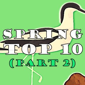 Top 10: Spring (pt&nbsp;2)